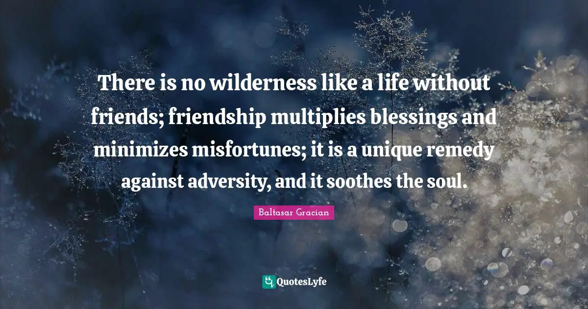 Misfortunes Quotes: "There is no wilderness like a life without friends; friendship multiplies blessings and minimizes misfortunes; it is a unique remedy against adversity, and it soothes the soul."