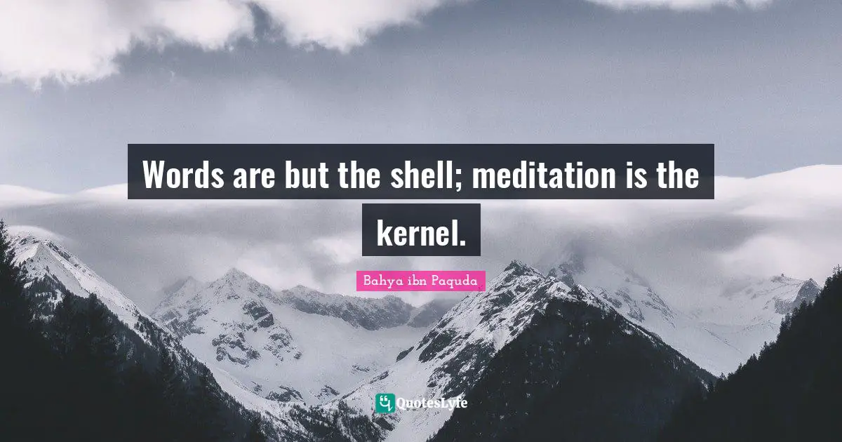 Words are but the shell; meditation is the kernel.
