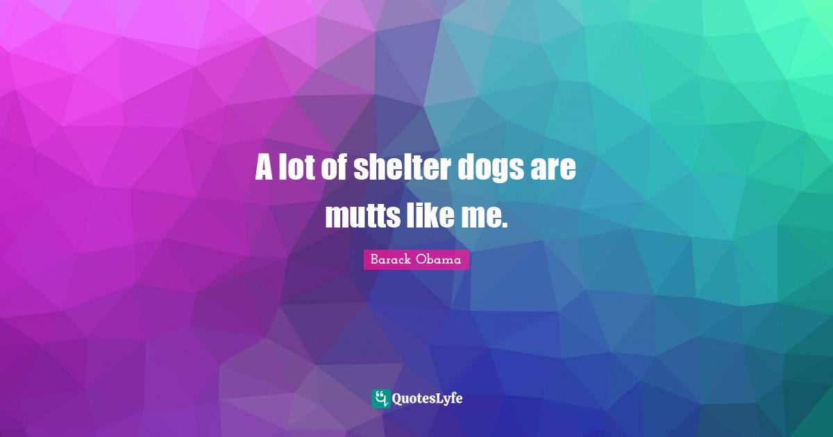 Like Me Quotes: "A lot of shelter dogs are mutts like me."