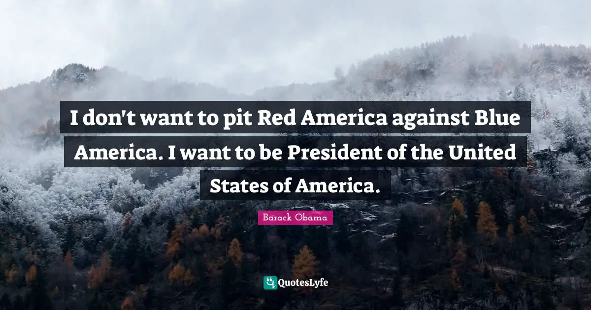 I don't want to pit Red America against Blue America. I want to be President of the United States of America.