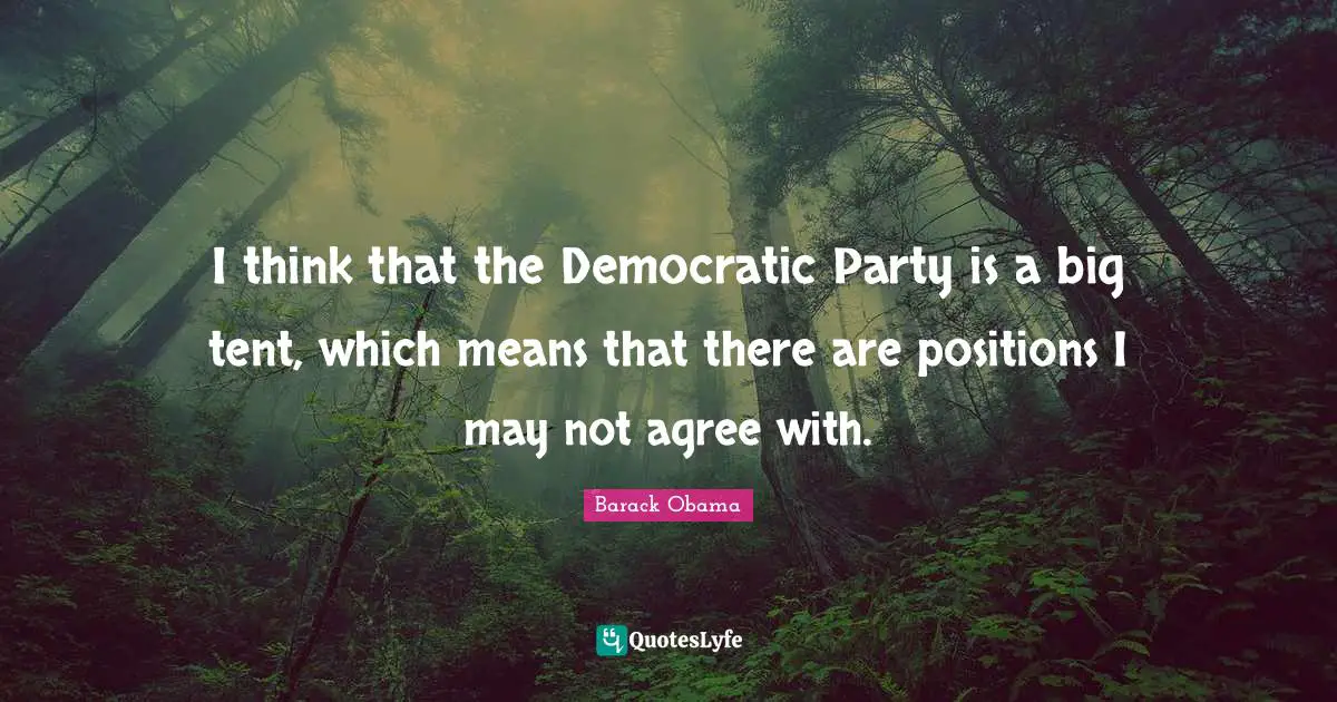 I think that the Democratic Party is a big tent, which means that there are positions I may not agree with.
