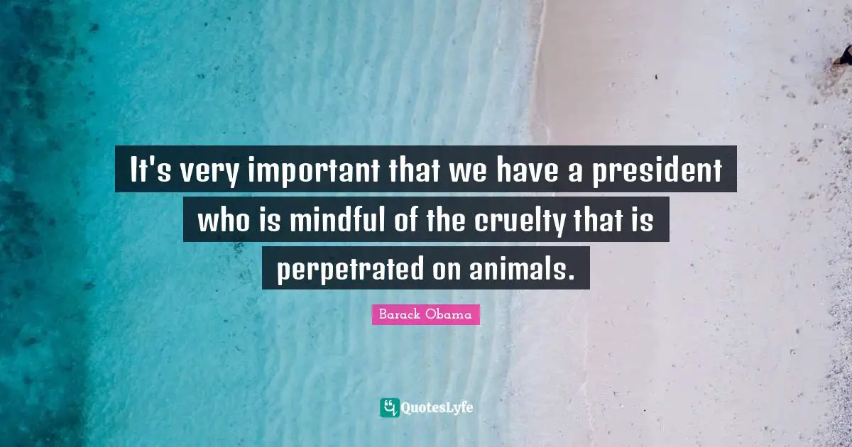 It's very important that we have a president who is mindful of the cruelty that is perpetrated on animals.