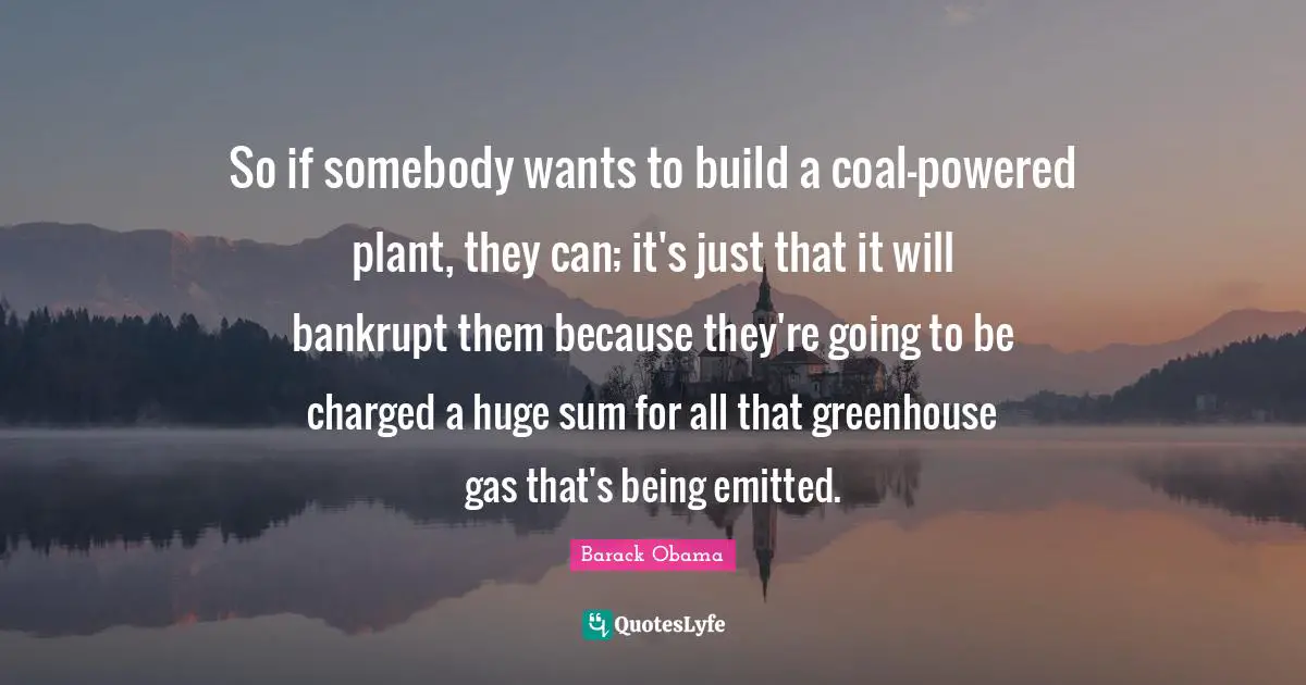 So if somebody wants to build a coal-powered plant, they can; it's just that it will bankrupt them because they're going to be charged a huge sum for all that greenhouse gas that's being emitted.