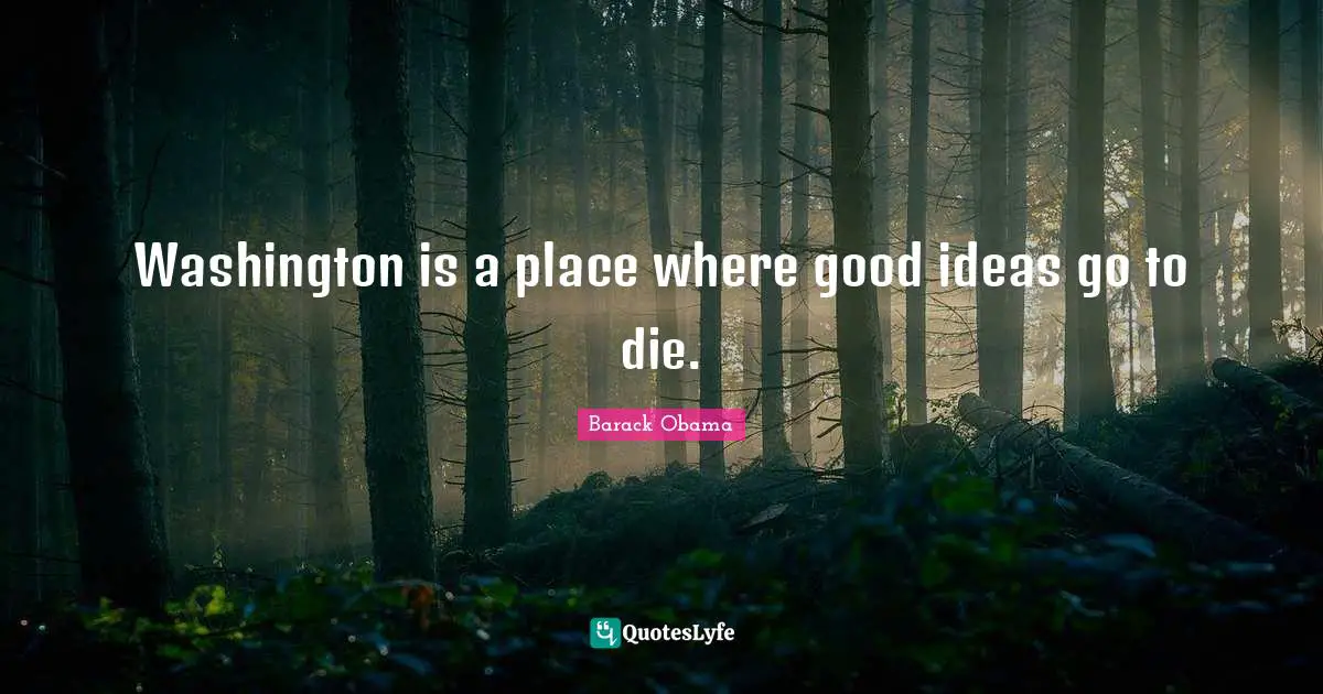 Washington is a place where good ideas go to die.