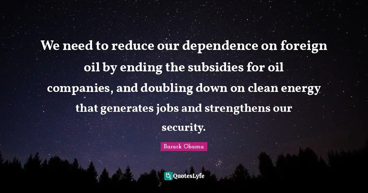 We need to reduce our dependence on foreign oil by ending the subsidies for oil companies, and doubling down on clean energy that generates jobs and strengthens our security.