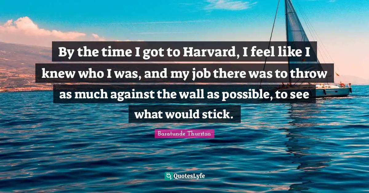 By the time I got to Harvard, I feel like I knew who I was, and my job there was to throw as much against the wall as possible, to see what would stick.