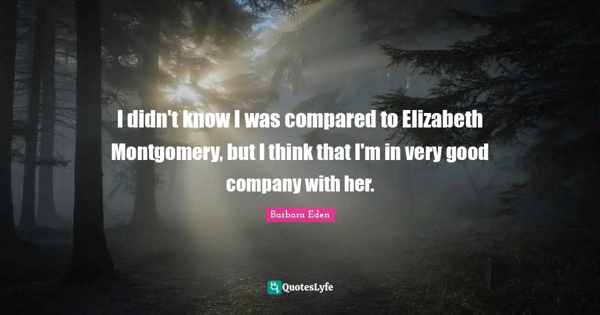 I didn't know I was compared to Elizabeth Montgomery, but I think that I'm in very good company with her.