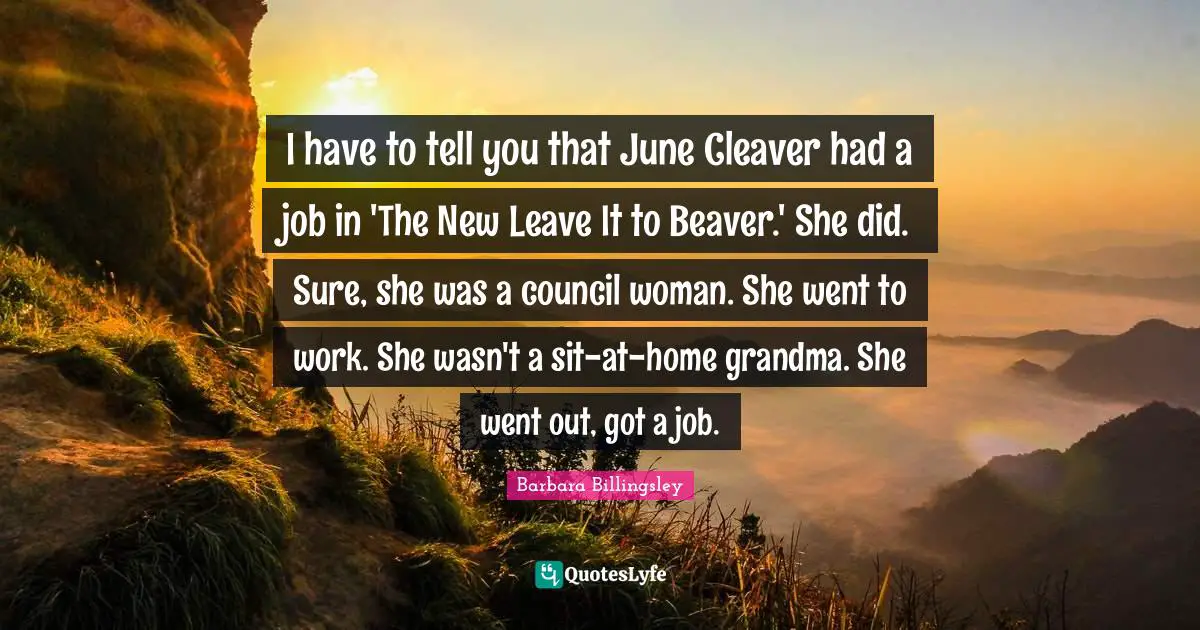 I have to tell you that June Cleaver had a job in 'The New Leave It to Beaver.' She did. Sure, she was a council woman. She went to work. She wasn't a sit-at-home grandma. She went out, got a job.