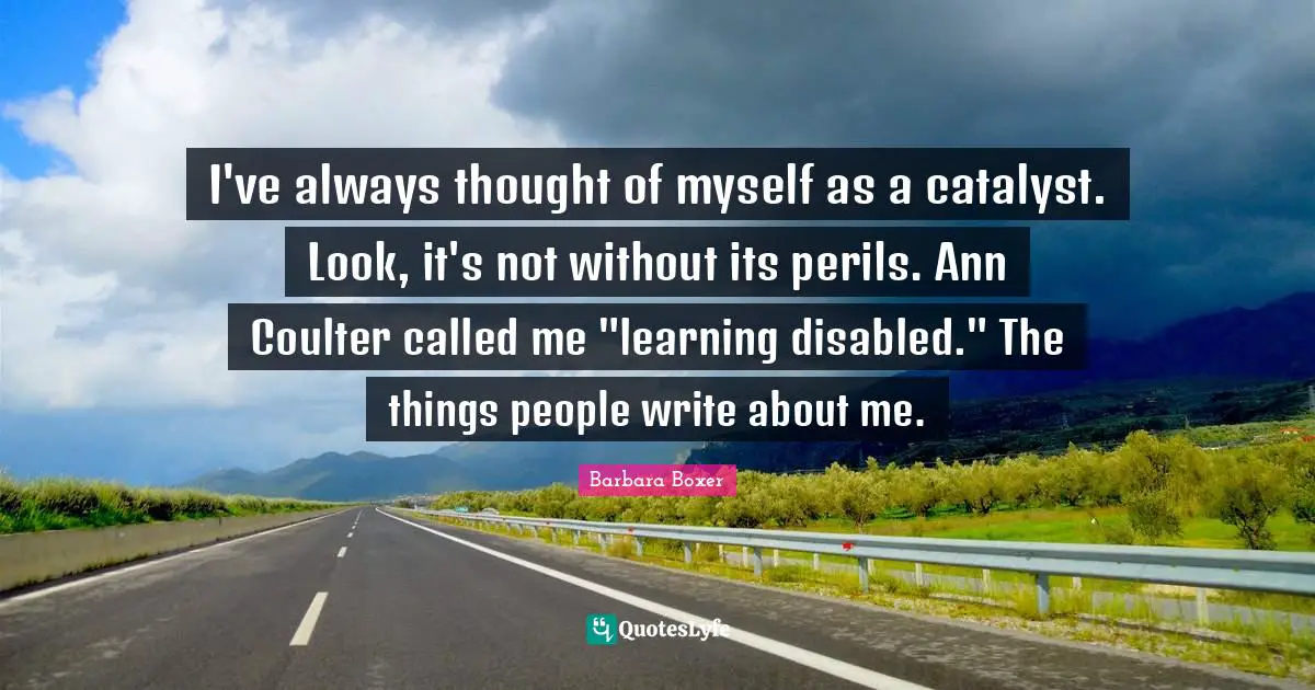 I've always thought of myself as a catalyst. Look, it's not without its perils. Ann Coulter called me "learning disabled." The things people write about me.