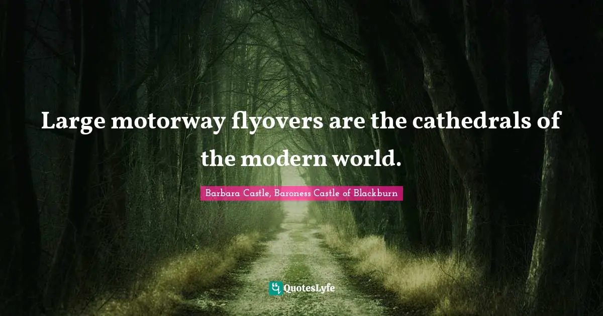 Large motorway flyovers are the cathedrals of the modern world.