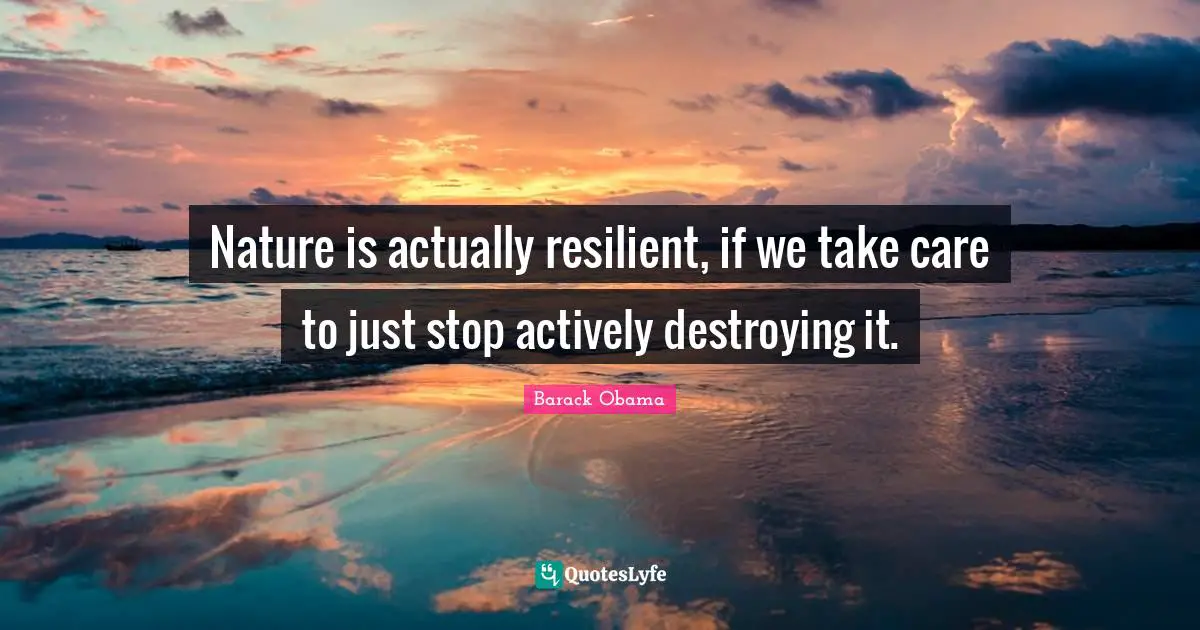 Nature is actually resilient, if we take care to just stop actively destroying it.