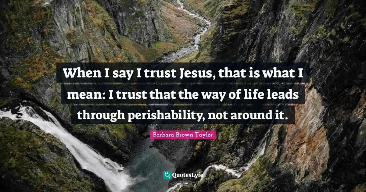 When I say I trust Jesus, that is what I mean: I trust that the way of life leads through perishability, not around it.