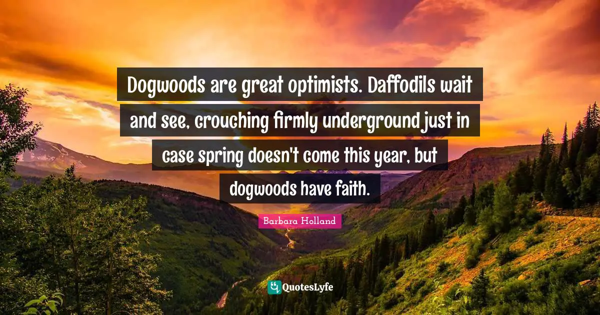 Dogwoods are great optimists. Daffodils wait and see, crouching firmly underground just in case spring doesn't come this year, but dogwoods have faith.