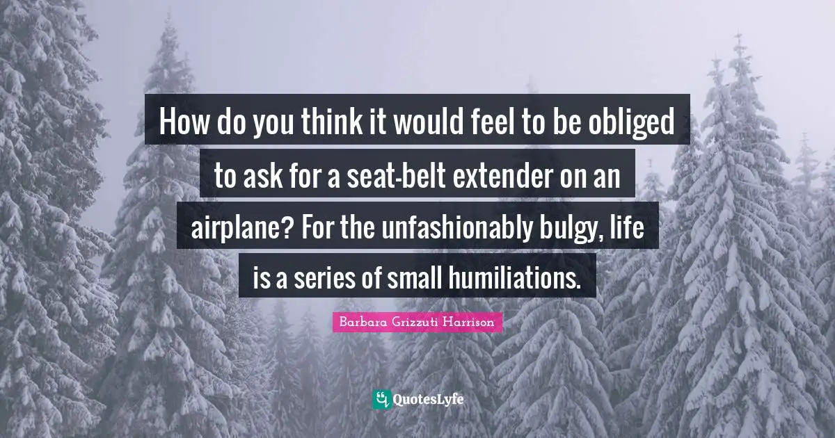 How do you think it would feel to be obliged to ask for a seat-belt extender on an airplane? For the unfashionably bulgy, life is a series of small humiliations.