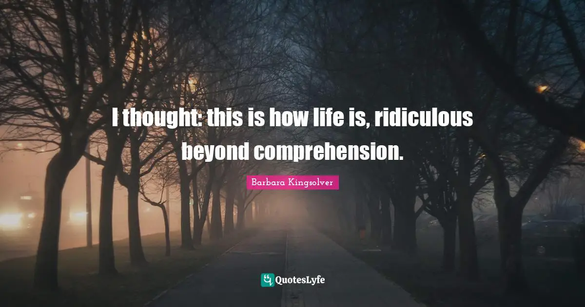 I thought: this is how life is, ridiculous beyond comprehension.