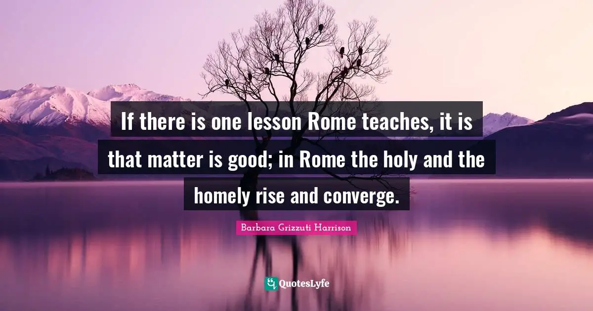 If there is one lesson Rome teaches, it is that matter is good; in Rome the holy and the homely rise and converge.