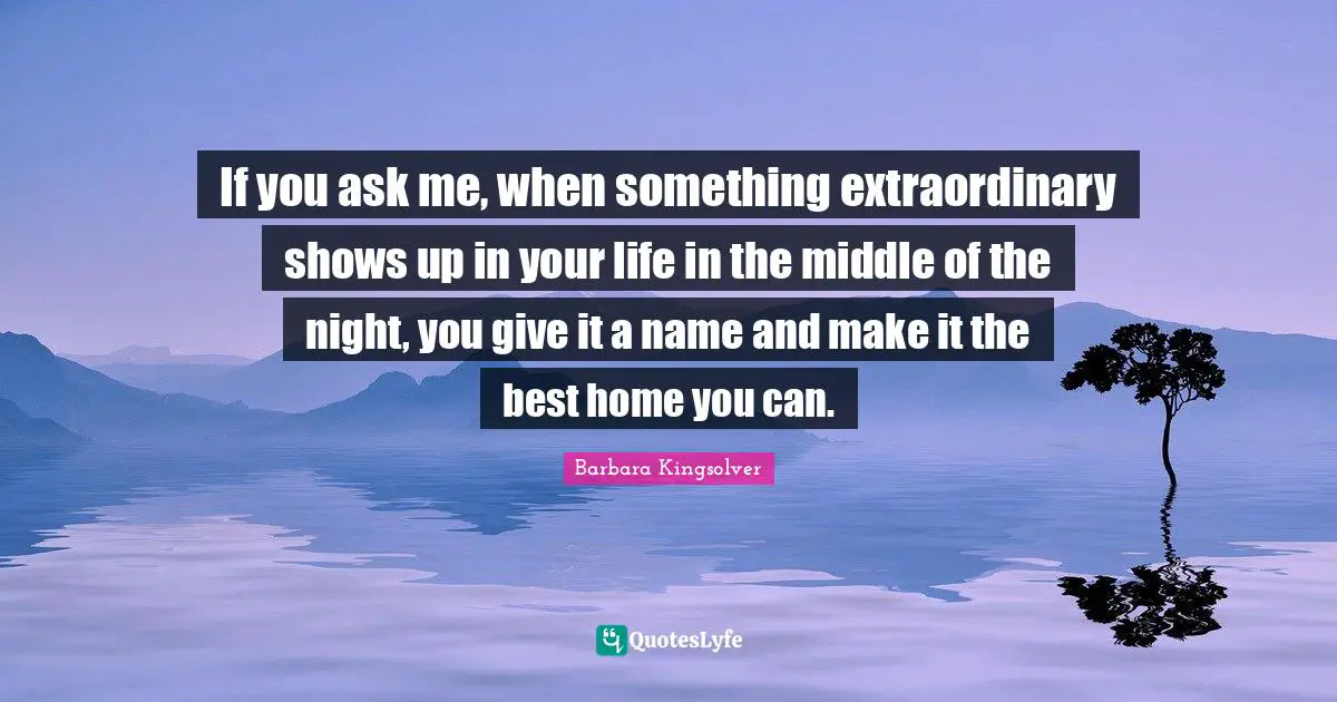 If you ask me, when something extraordinary shows up in your life in the middle of the night, you give it a name and make it the best home you can.