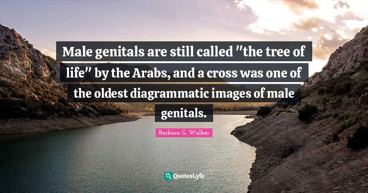 Male genitals are still called "the tree of life" by the Arabs, and a cross was one of the oldest diagrammatic images of male genitals.