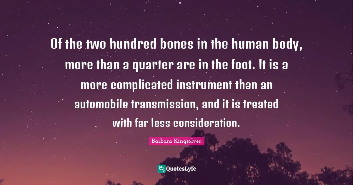 Of the two hundred bones in the human body, more than a quarter are in the foot. It is a more complicated instrument than an automobile transmission, and it is treated with far less consideration.