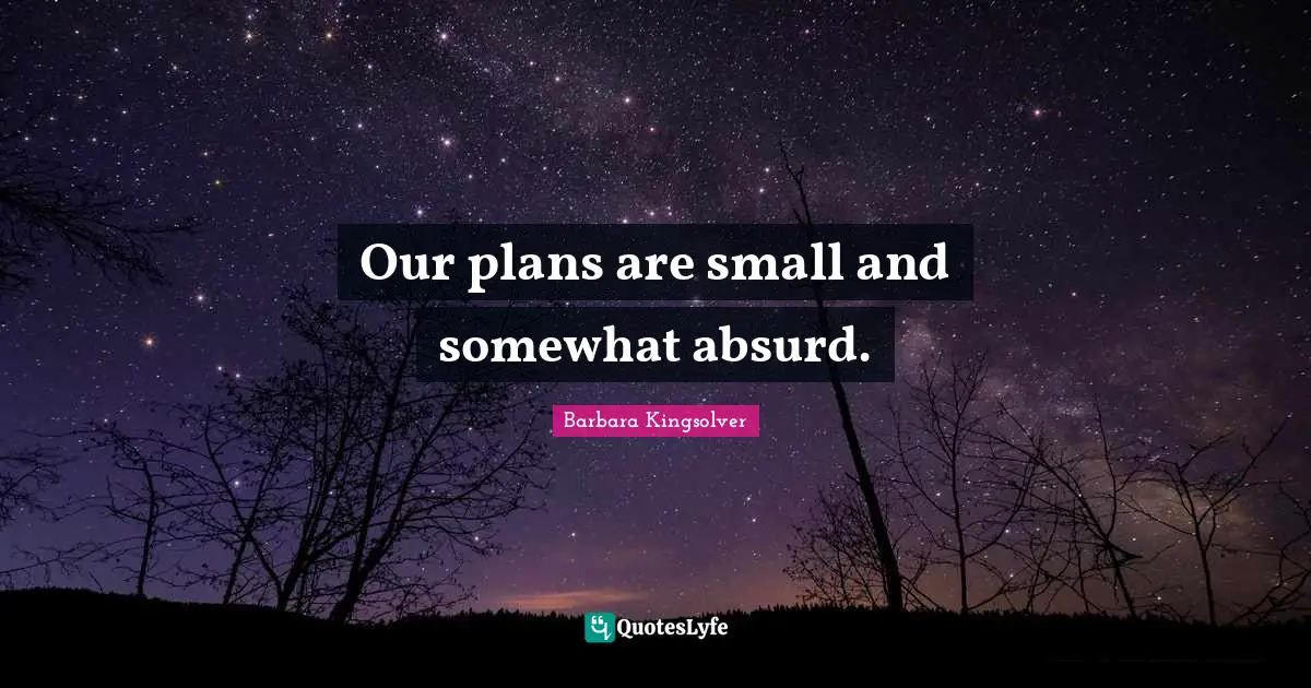 Our plans are small and somewhat absurd.