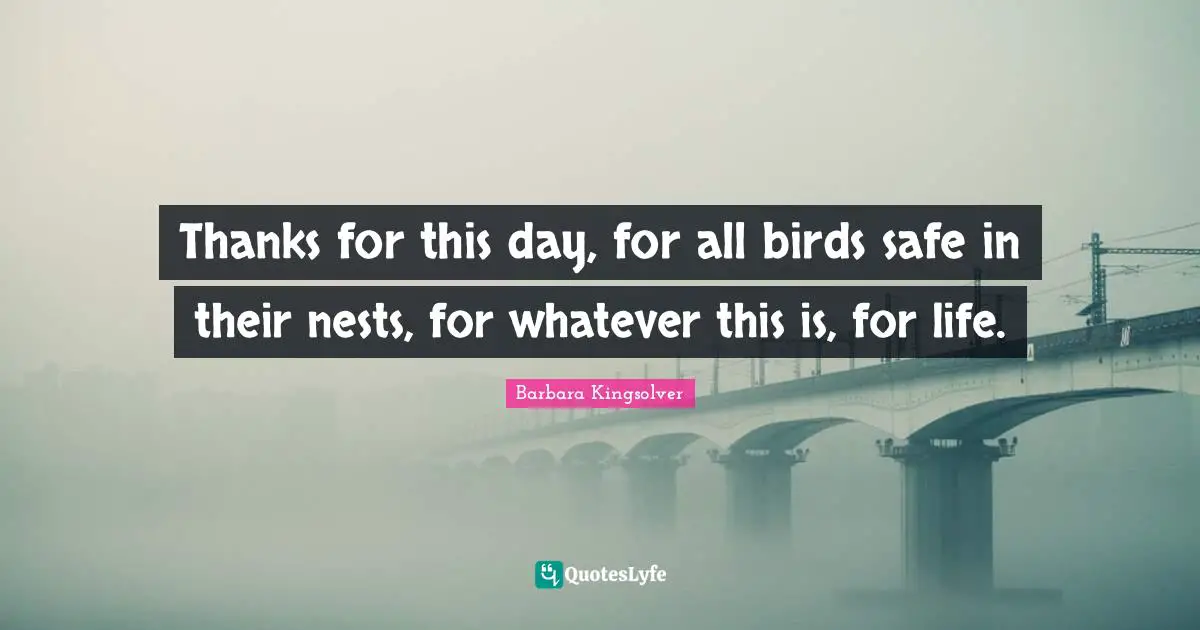 Nests Quotes: "Thanks for this day, for all birds safe in their nests, for whatever this is, for life."