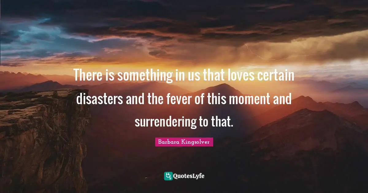 There is something in us that loves certain disasters and the fever of this moment and surrendering to that.