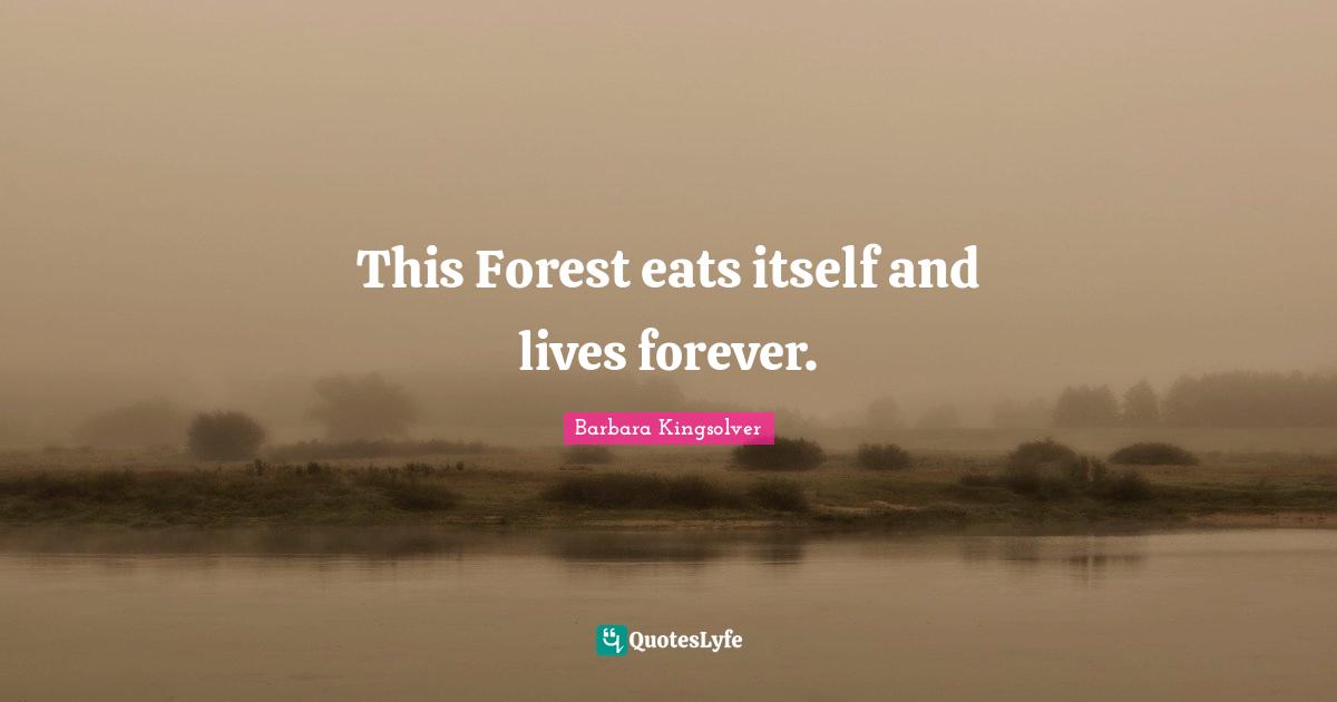 This Forest eats itself and lives forever.