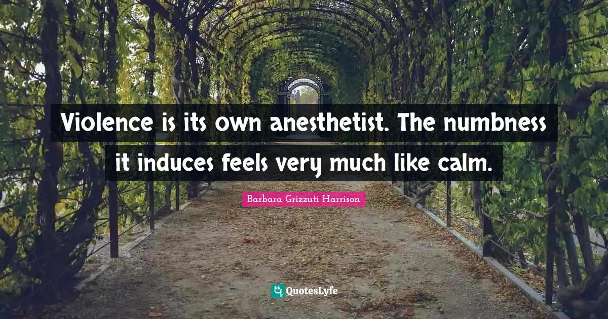 Violence is its own anesthetist. The numbness it induces feels very much like calm.