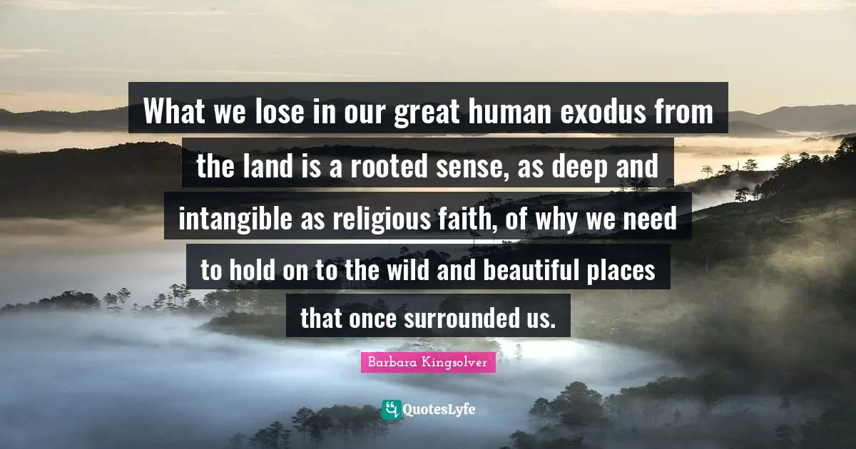 What we lose in our great human exodus from the land is a rooted sense, as deep and intangible as religious faith, of why we need to hold on to the wild and beautiful places that once surrounded us.