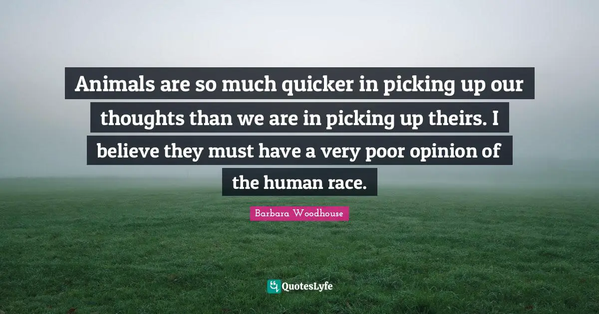 Our Thoughts Quotes: "Animals are so much quicker in picking up our thoughts than we are in picking up theirs. I believe they must have a very poor opinion of the human race."