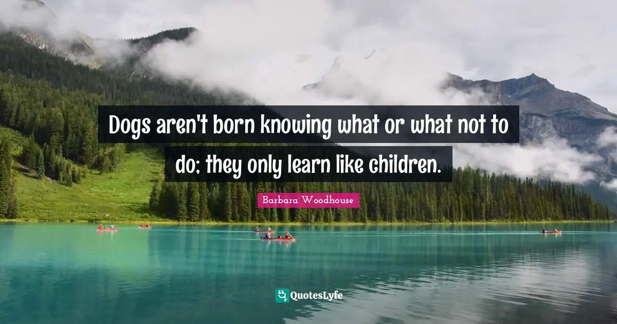 Dogs aren't born knowing what or what not to do; they only learn like children.