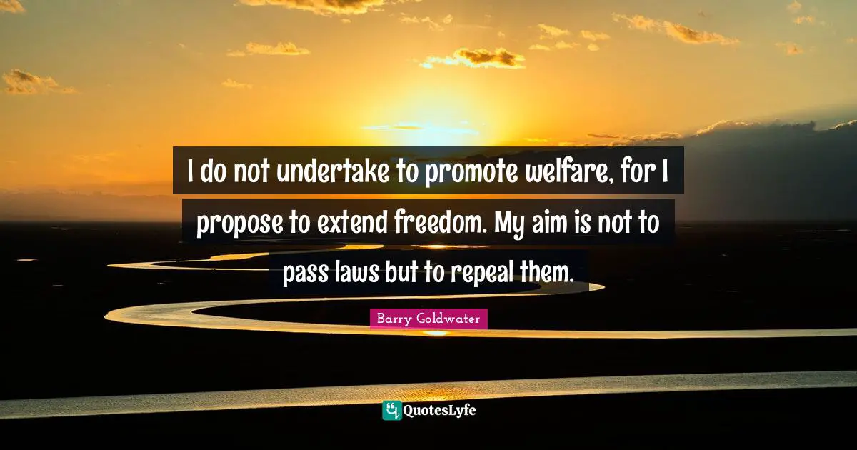 I do not undertake to promote welfare, for I propose to extend freedom. My aim is not to pass laws but to repeal them.