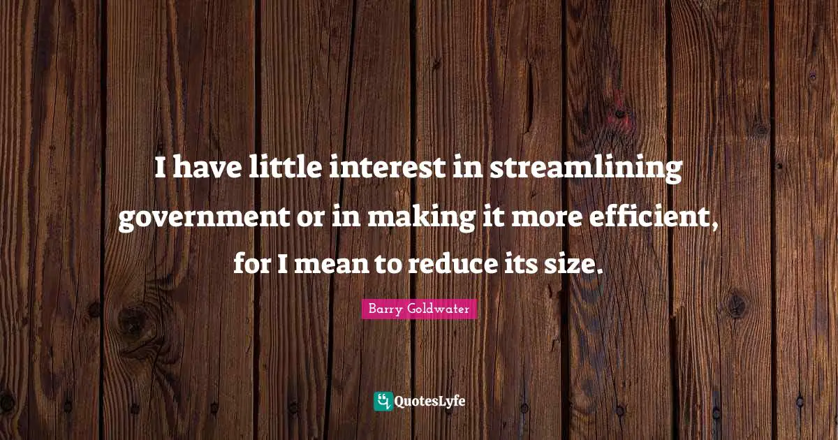 I have little interest in streamlining government or in making it more efficient, for I mean to reduce its size.