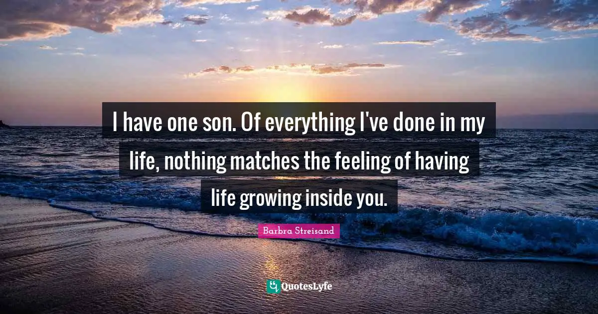 I have one son. Of everything I've done in my life, nothing matches the feeling of having life growing inside you.
