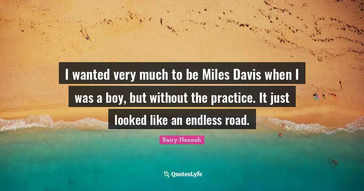 I wanted very much to be Miles Davis when I was a boy, but without the practice. It just looked like an endless road.