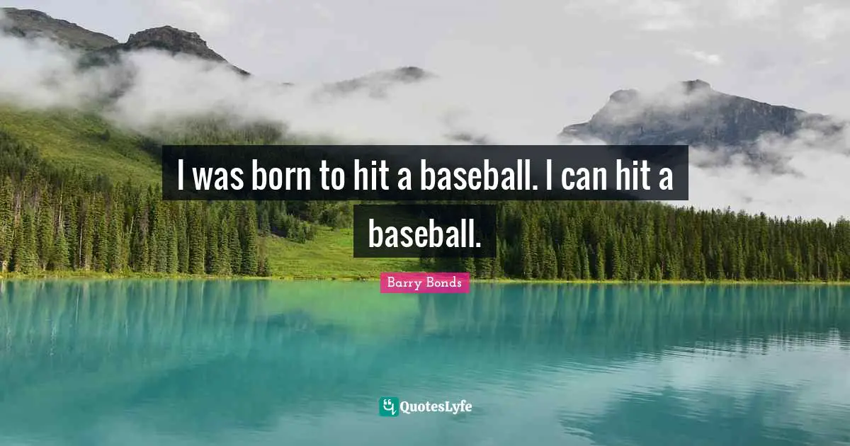 I was born to hit a baseball. I can hit a baseball.