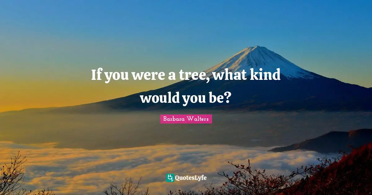 Drop Quotes: "If you were a tree, what kind would you be?"