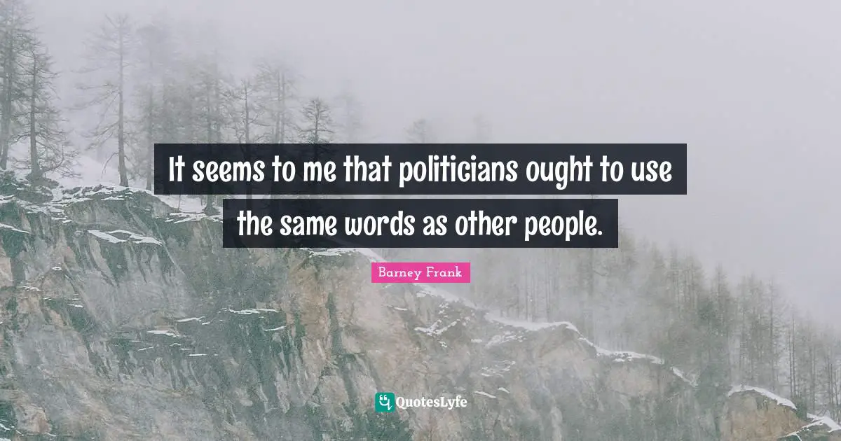 It seems to me that politicians ought to use the same words as other people.