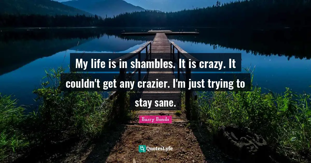 My life is in shambles. It is crazy. It couldn't get any crazier. I'm just trying to stay sane.