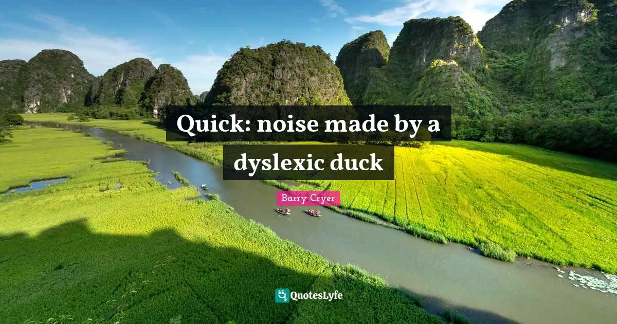 Quick: noise made by a dyslexic duck