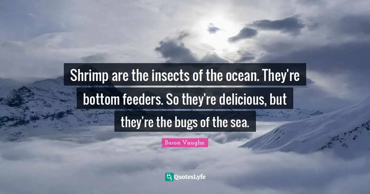 Baron Vaughn Quotes: "Shrimp are the insects of the ocean. They're bottom feeders. So they're delicious, but they're the bugs of the sea."