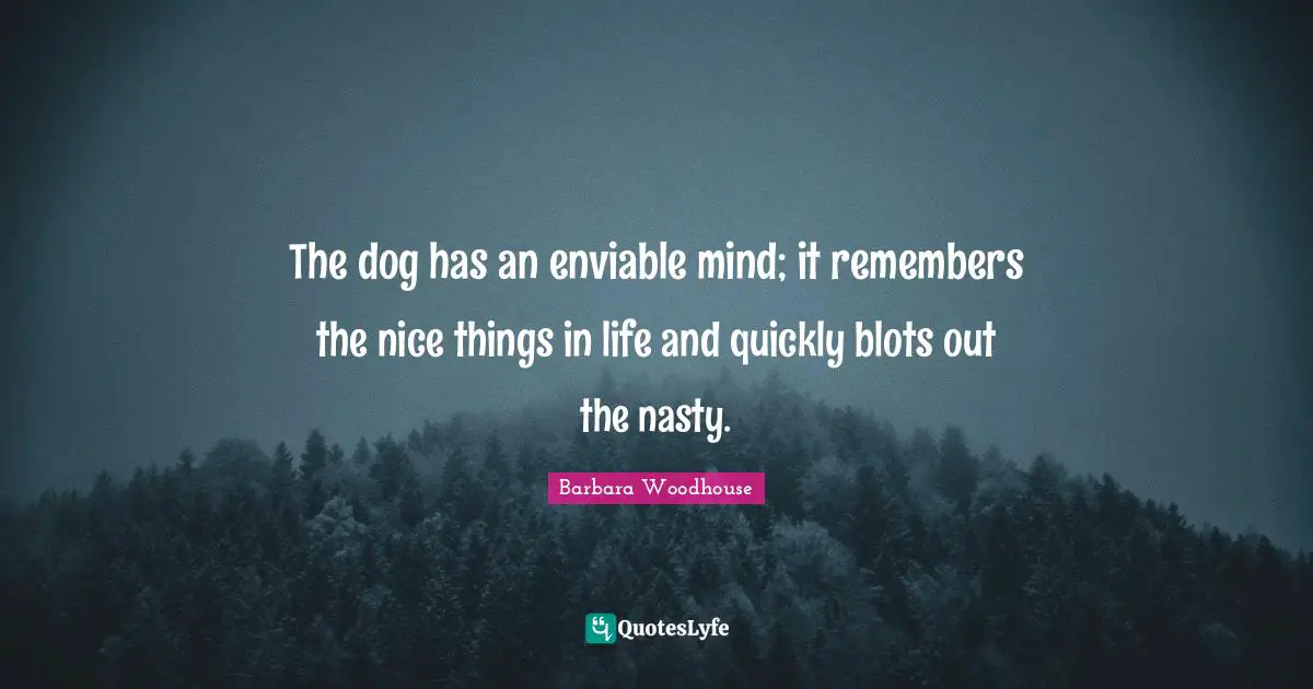 The dog has an enviable mind; it remembers the nice things in life and quickly blots out the nasty.