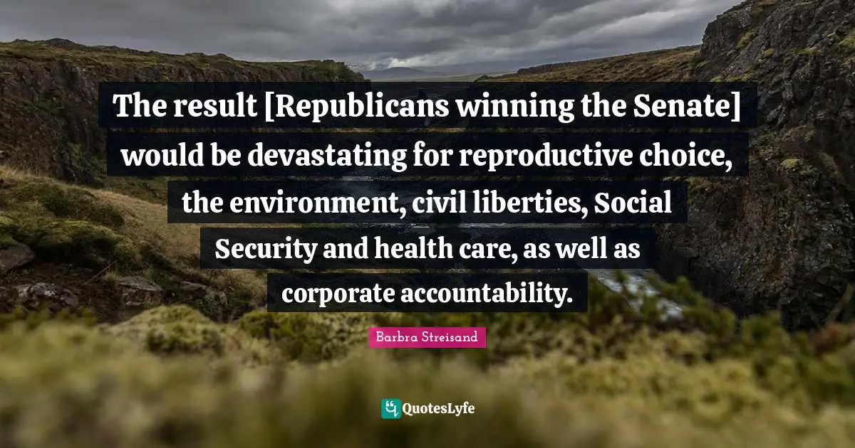 The result [Republicans winning the Senate] would be devastating for reproductive choice, the environment, civil liberties, Social Security and health care, as well as corporate accountability.