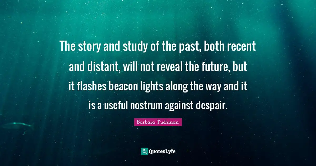 The story and study of the past, both recent and distant, will not reveal the future, but it flashes beacon lights along the way and it is a useful nostrum against despair.