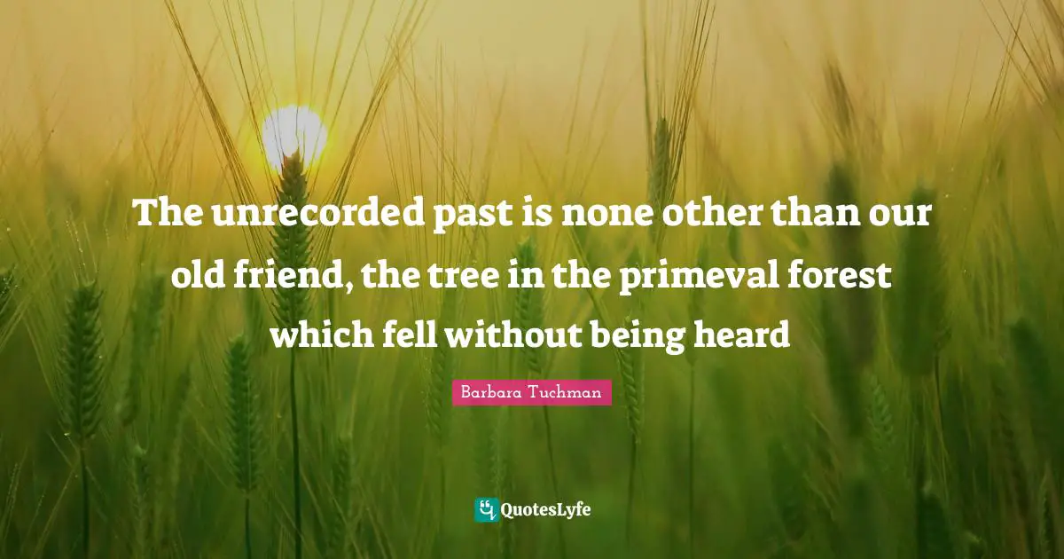 The unrecorded past is none other than our old friend, the tree in the primeval forest which fell without being heard