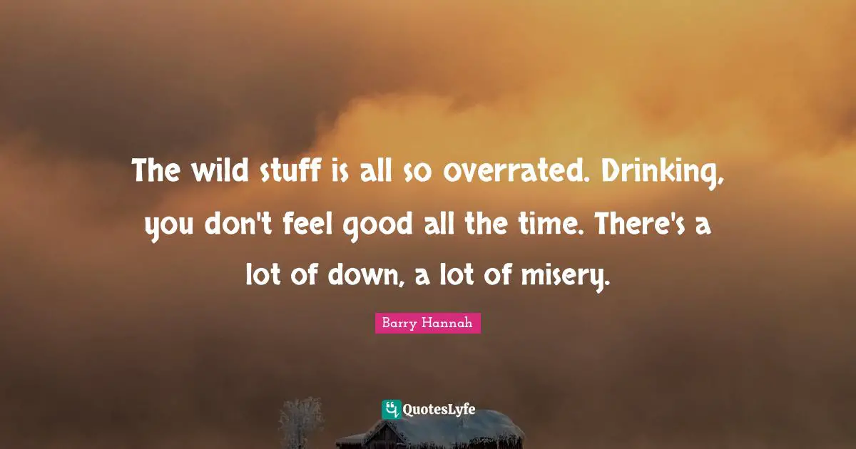 The wild stuff is all so overrated. Drinking, you don't feel good all the time. There's a lot of down, a lot of misery.