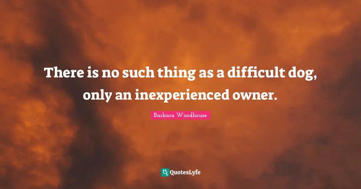 Owners Quotes: "There is no such thing as a difficult dog, only an inexperienced owner."