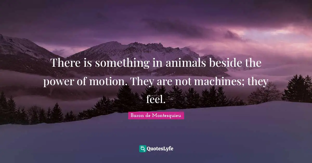 There is something in animals beside the power of motion. They are not machines; they feel.