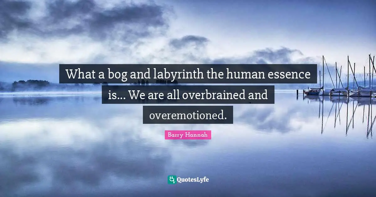 What a bog and labyrinth the human essence is... We are all overbrained and overemotioned.