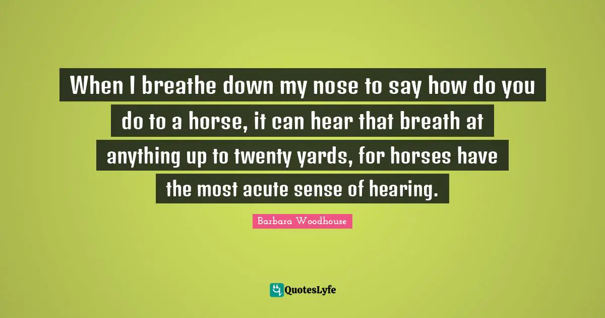 When I breathe down my nose to say how do you do to a horse, it can hear that breath at anything up to twenty yards, for horses have the most acute sense of hearing.